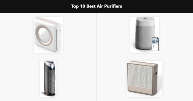 Top 10 Best Air Purifiers