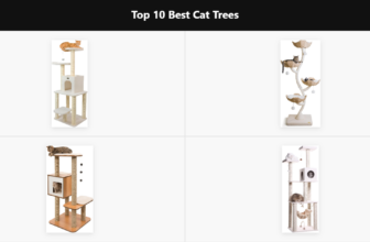 Top 10 Best Cat Trees