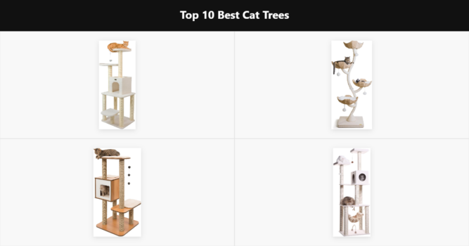 Top 10 Best Cat Trees