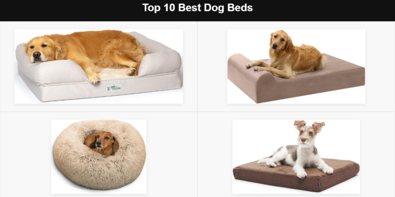 Top 10 Best Dog Beds of 2026