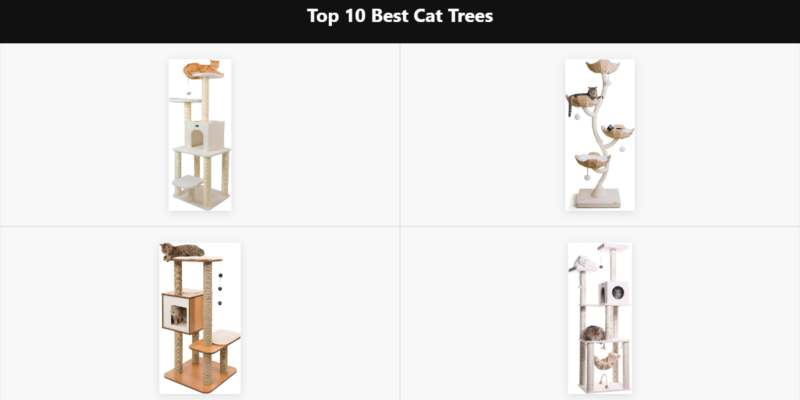 Top 10 Best Cat Trees of 2026